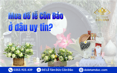Mua Đồ Lễ Côn Đảo Ở Đâu Uy Tín? Đặt Combo Lễ Tận Nơi | Tâm Đức Côn Đảo